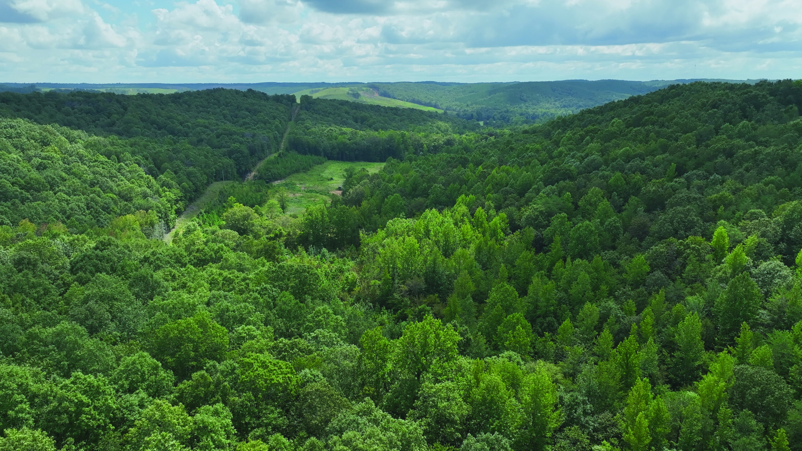 View of a forested valley